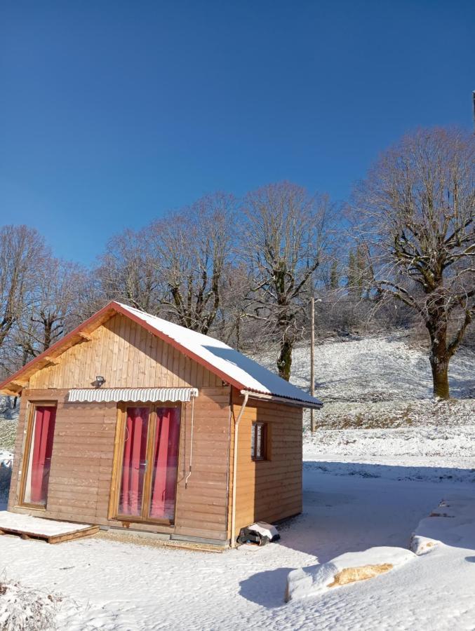 La P'Tite Maison Bois Du Herisson Menetrux-en-Joux Extérieur photo